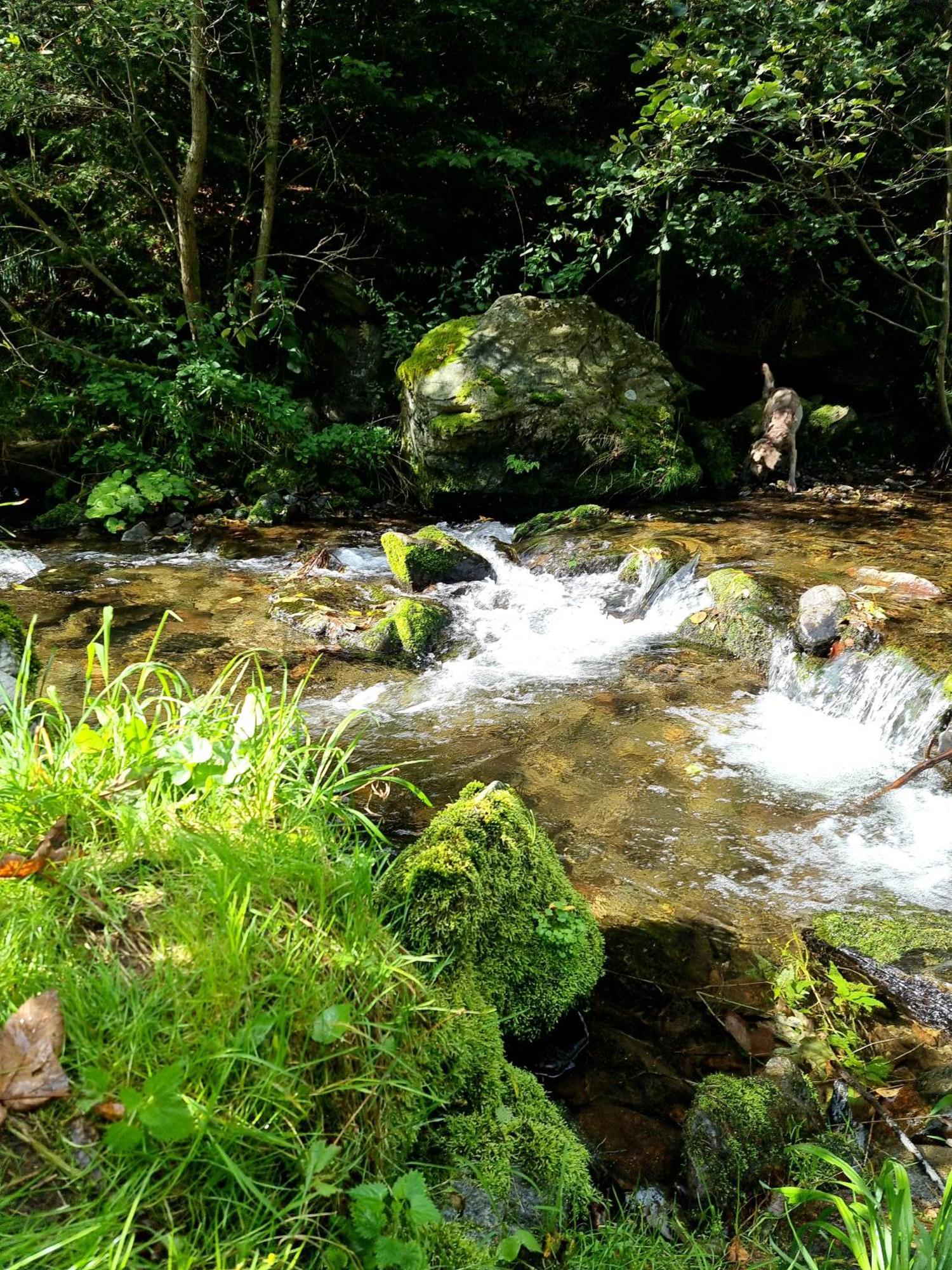Roubenka Mlyn U Skaly Destne V Orlickych Horach Volne Terminy 5 Bytu 외부 사진