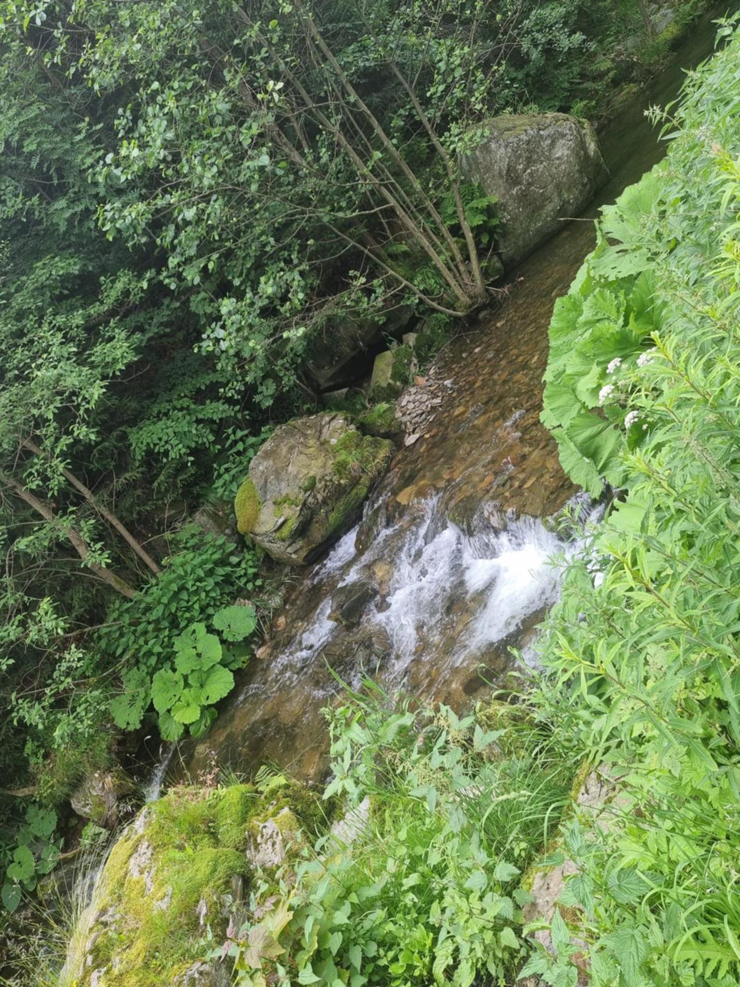 Roubenka Mlyn U Skaly Destne V Orlickych Horach Volne Terminy 5 Bytu 외부 사진